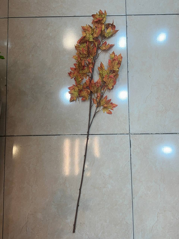 شاخه برگ پاییزی در سه رنگ