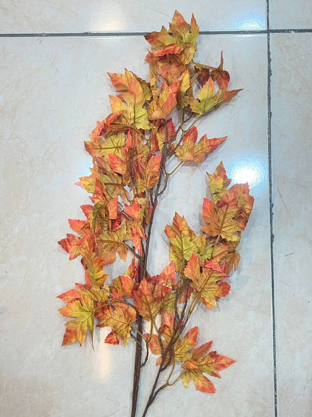 شاخه برگ پاییزی در سه رنگ