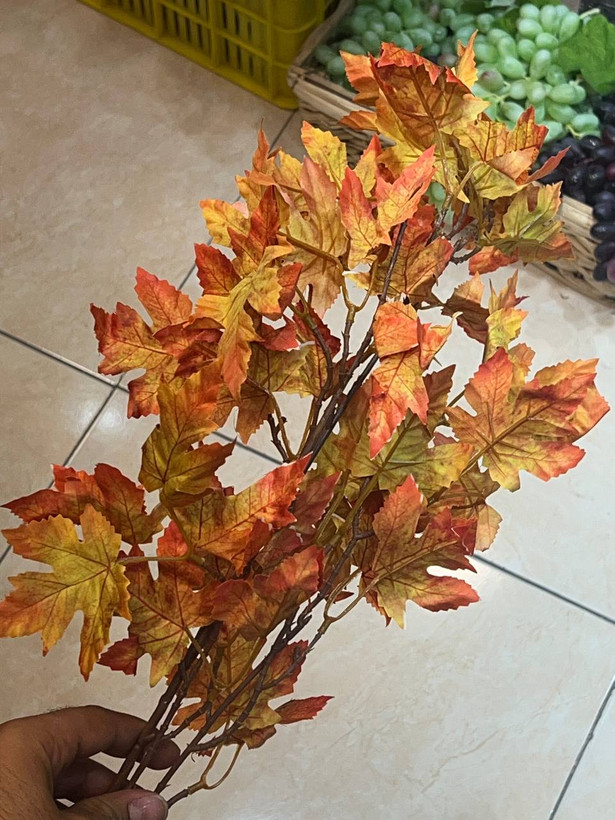 شاخه برگ پاییزی در سه رنگ