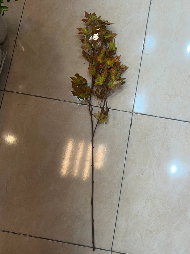 شاخه برگ پاییزی در سه رنگ
