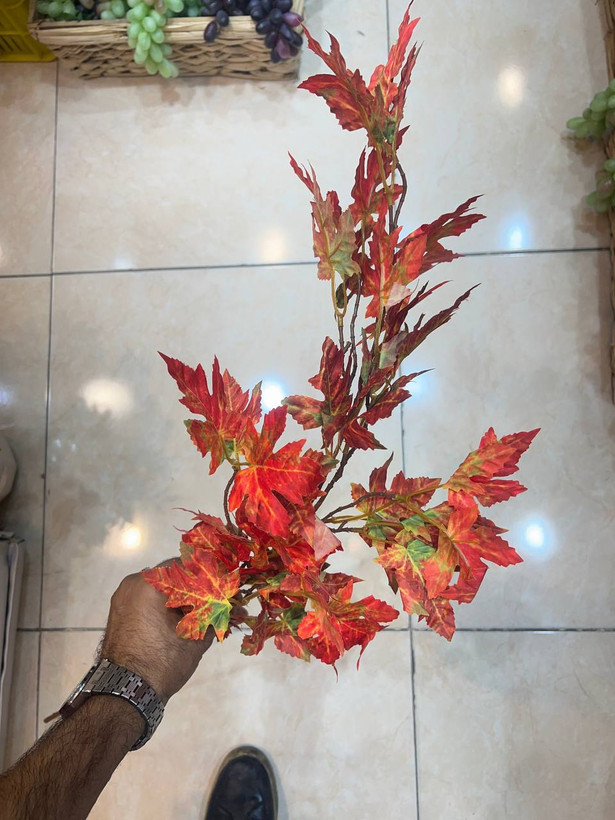 شاخه برگ پاییزی در سه رنگ
