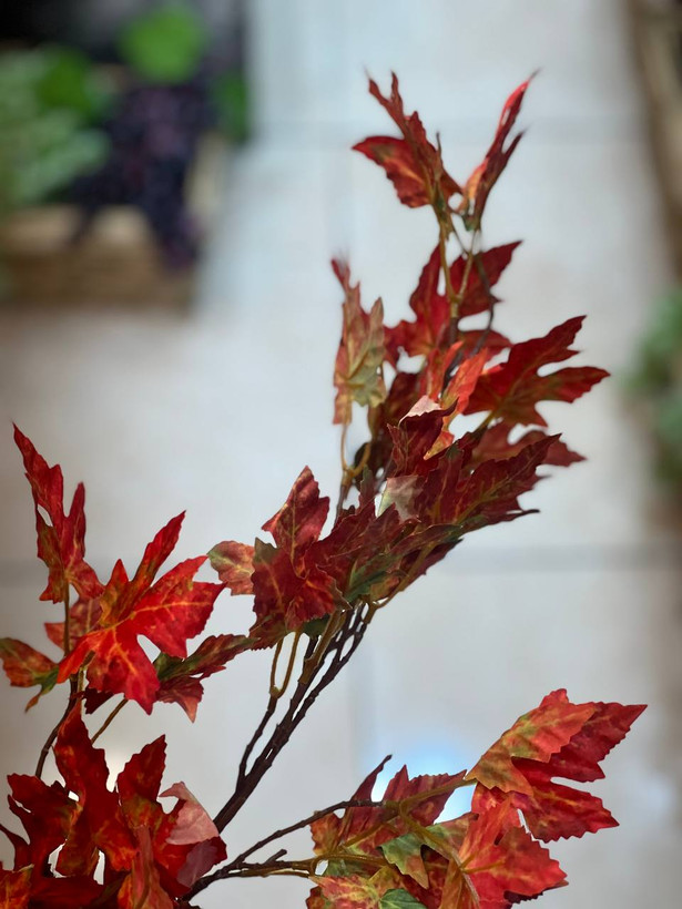 شاخه برگ پاییزی در سه رنگ