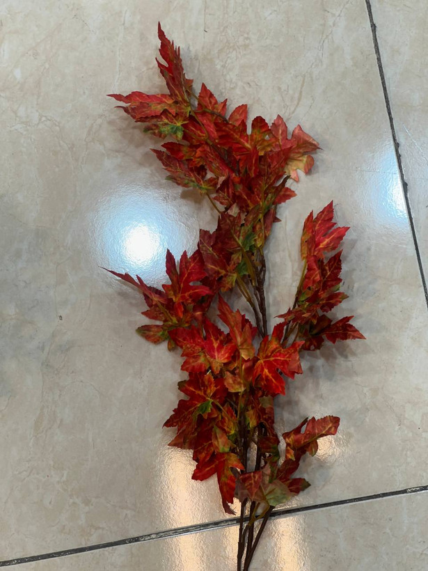 شاخه برگ پاییزی در سه رنگ