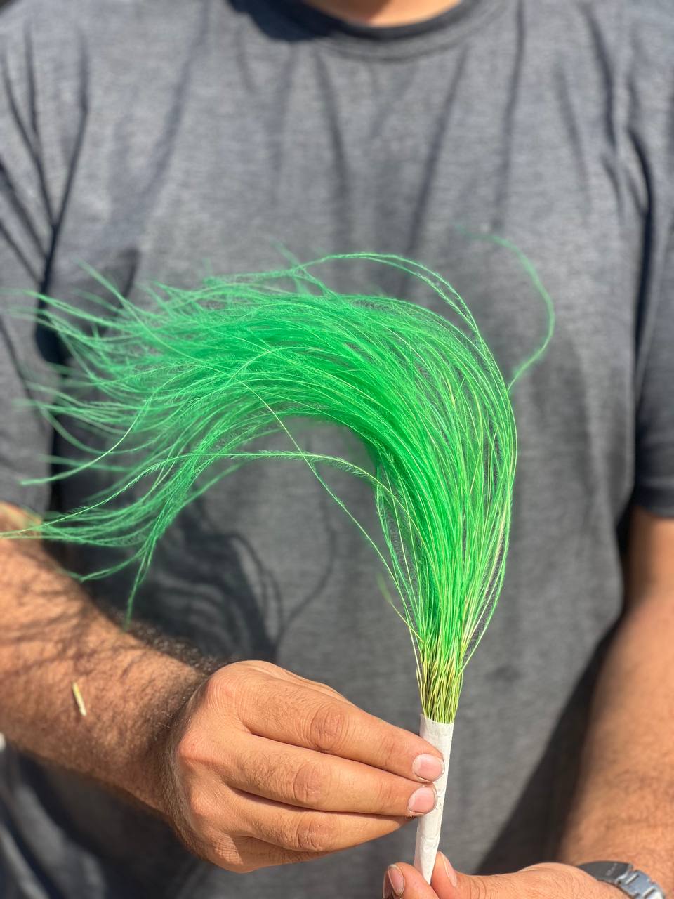گل ریش بابا رنگ سبز