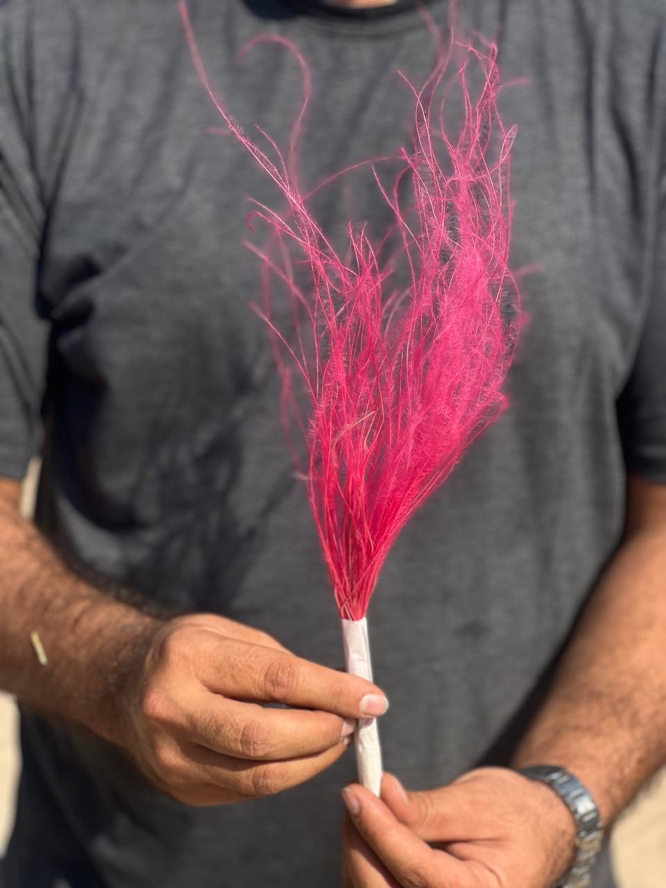 گل ریش بابا رنگ صورتی
