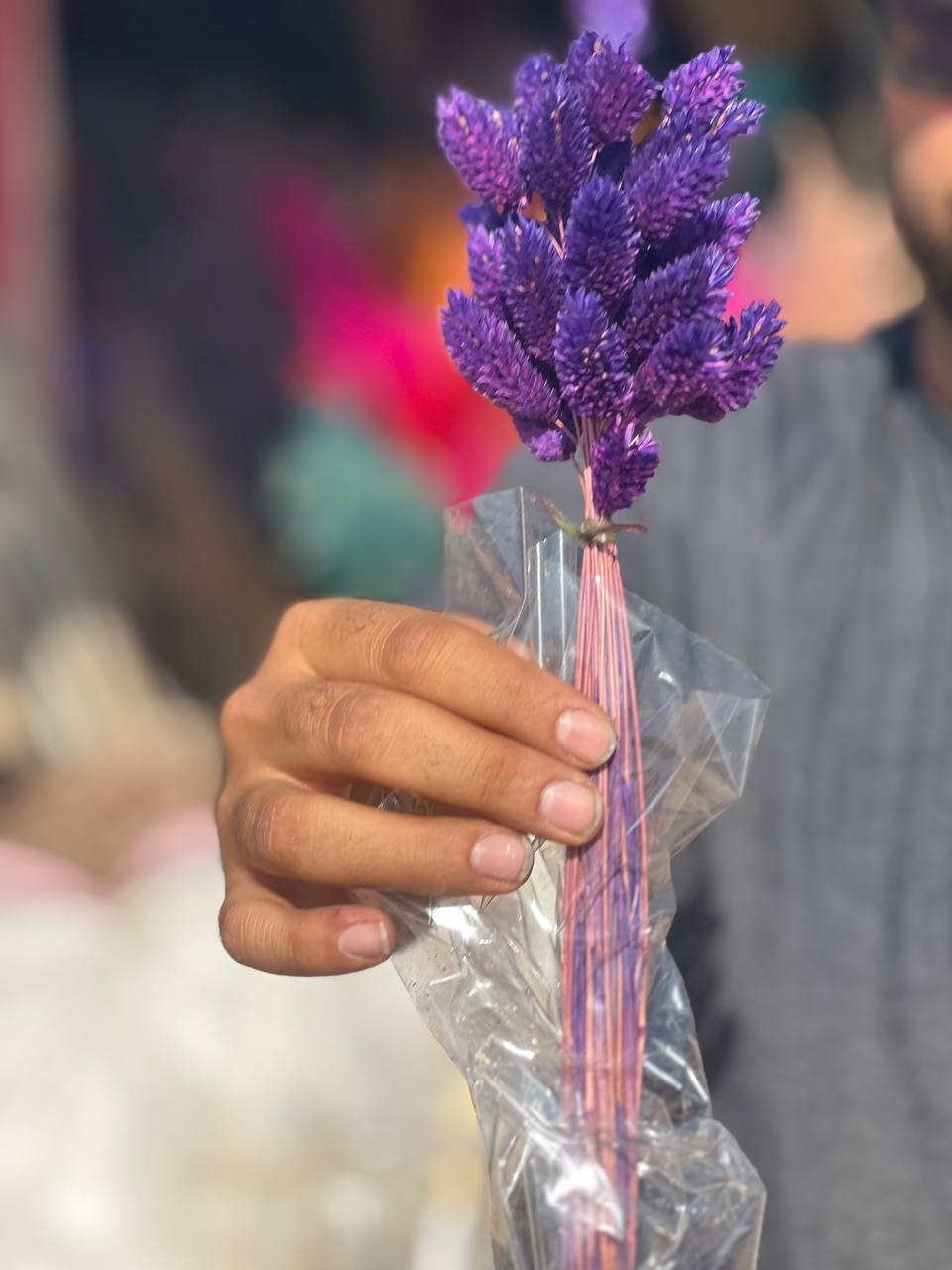 گل خشک توت فرنگی بنفش