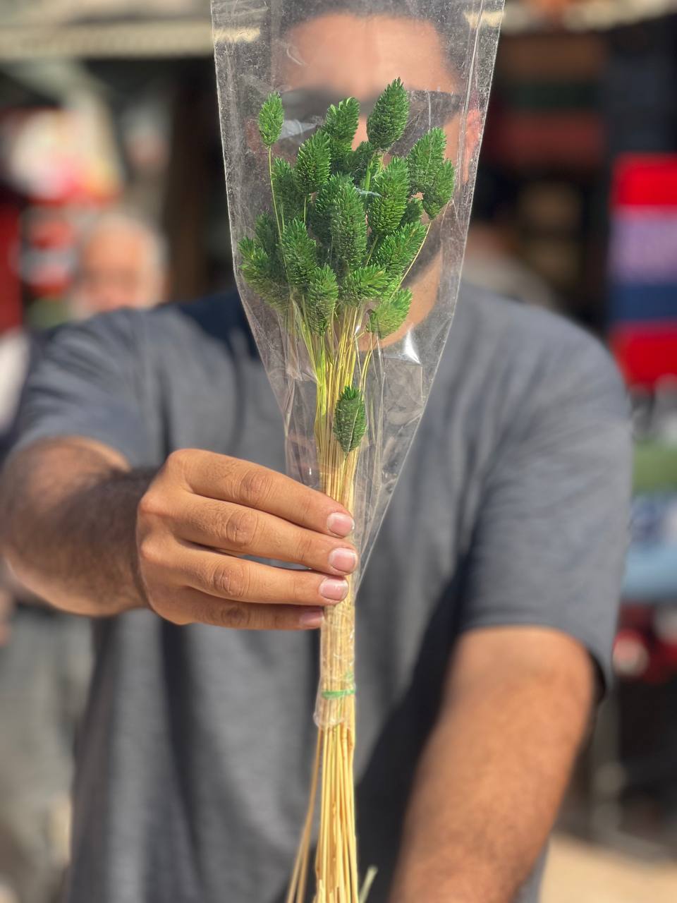 گل خشک توت فرنگی سبز