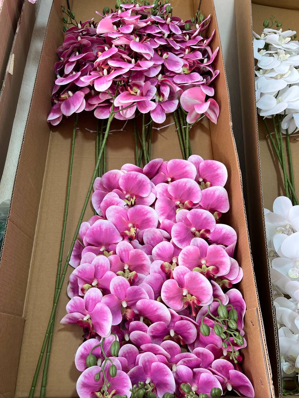 ارکیده لمسی بنفش دو رنگ ۹گل