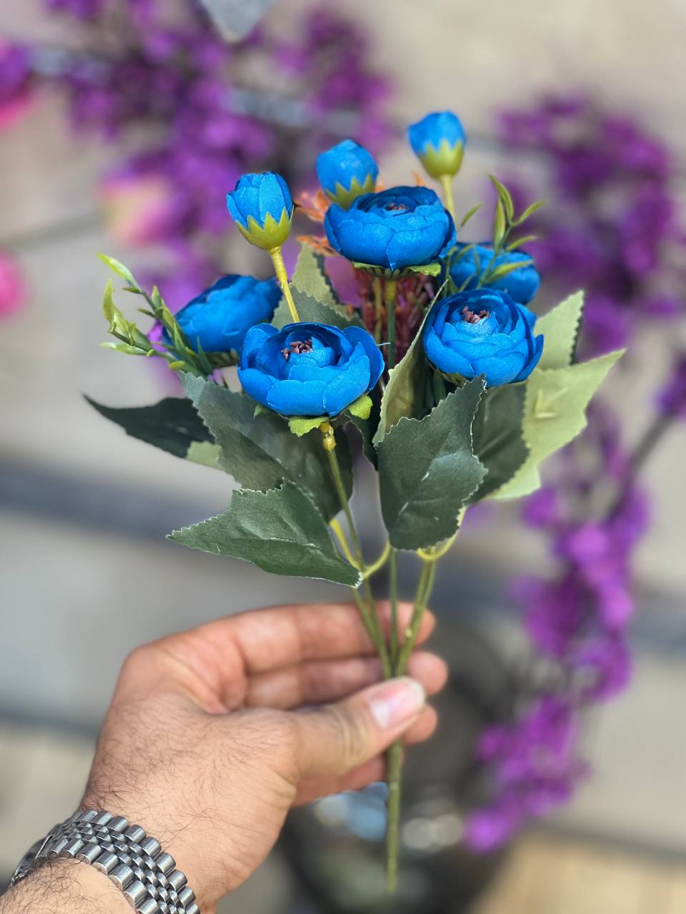 بوته پیونی آبی پررنگ