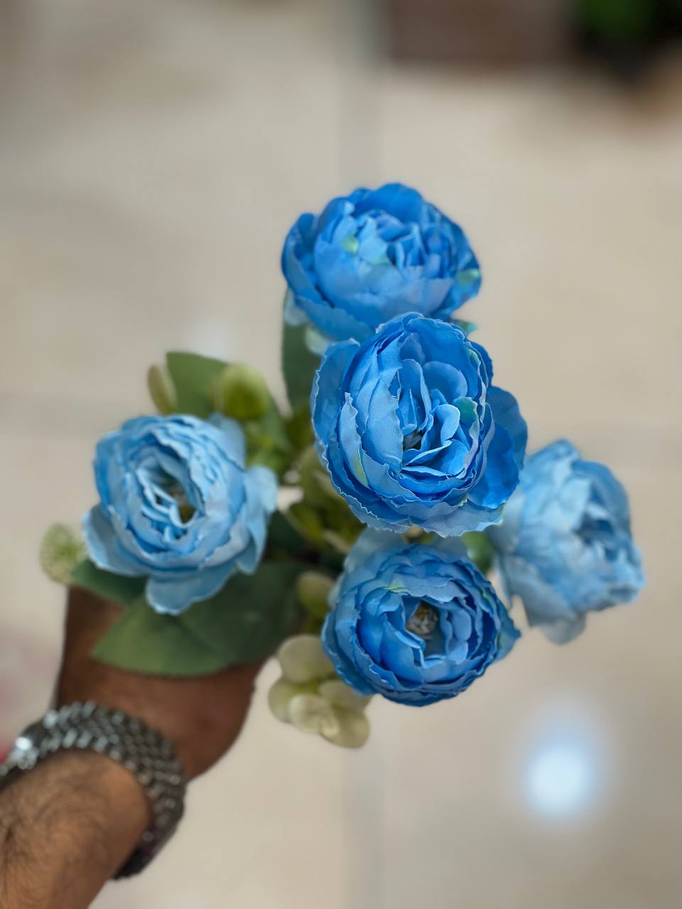 بوته پیونی آبی کمرنگ