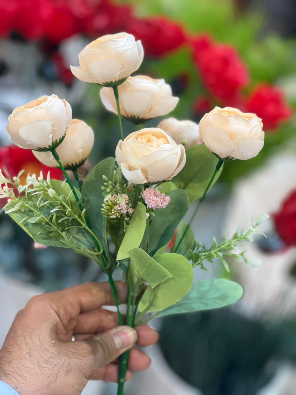 بوته پیونی رنگ کرم