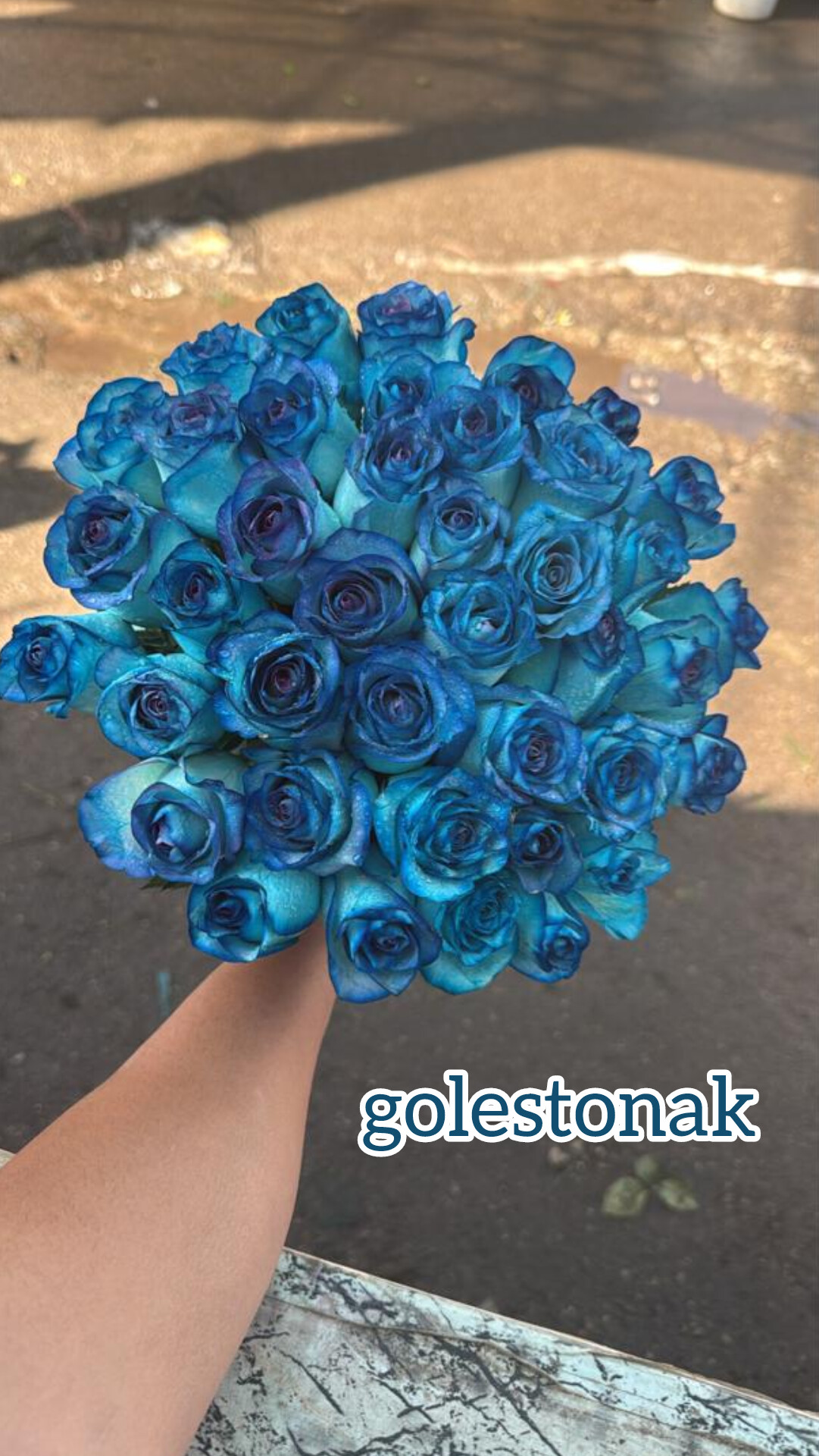 دسته گل رز هلندی طبیعی 40شاخه آبی کناف پیچی شده