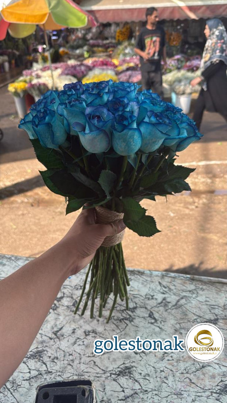 دسته گل رز هلندی طبیعی 40شاخه آبی کناف پیچی شده