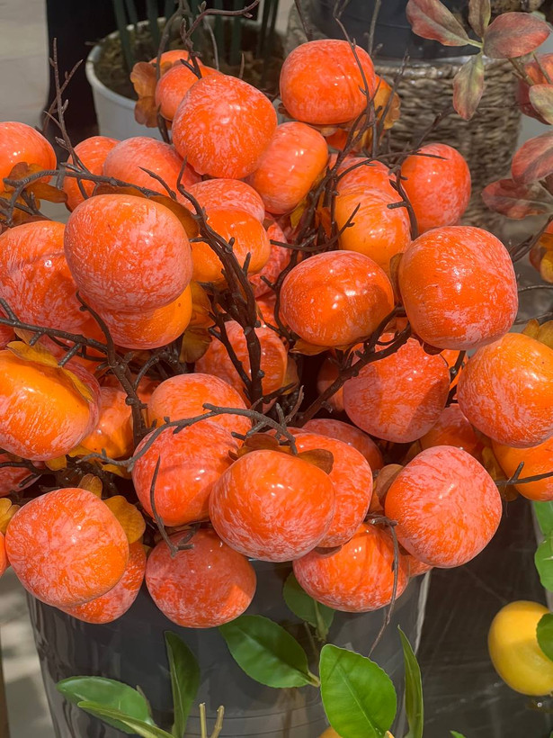 شاخه خرمالو مصنوعی درجه 1 وارداتی 6میوه متوسط (ویژه یلدا)