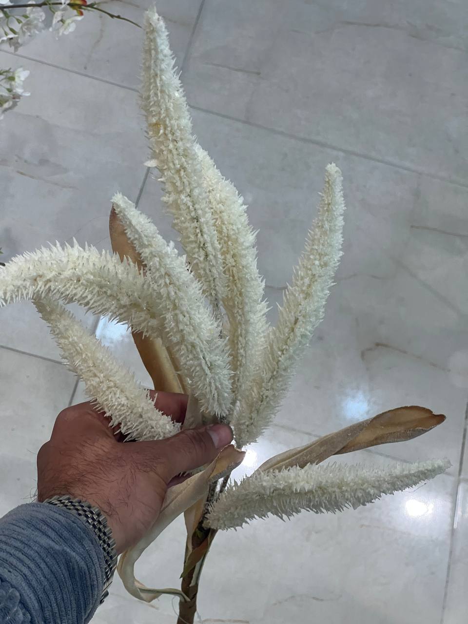 بوته مصنوعی پامپاس سفید