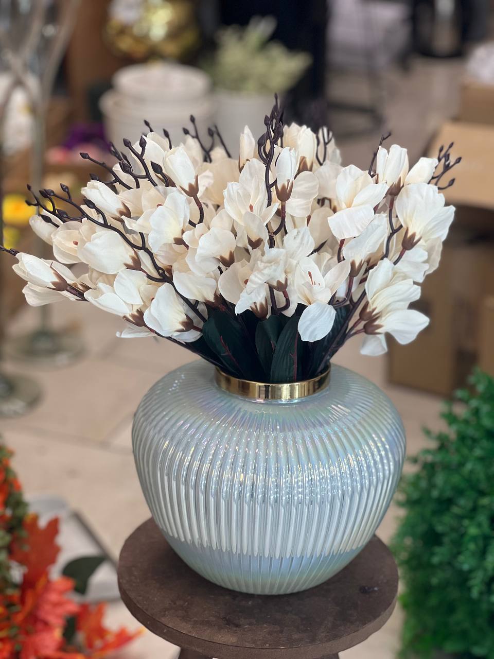بوته آلستر با گلدون شیشه ای