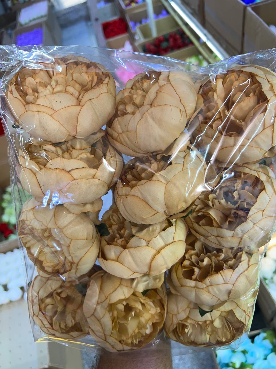 گل مصنوعی پیونی سایز بزرگ رنگ خاکی 12عددی با شاخه