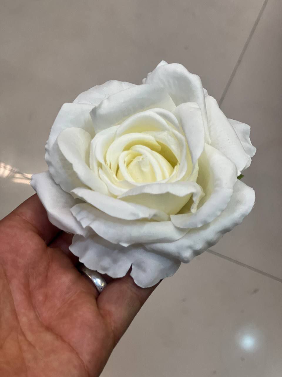 سرگل رز سایز بزرگ درجه۱ وارداتی سفید