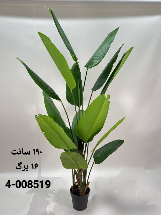 نخل نیکولای پرنده بهشتی مصنوعی 190سانتی 16برگ
