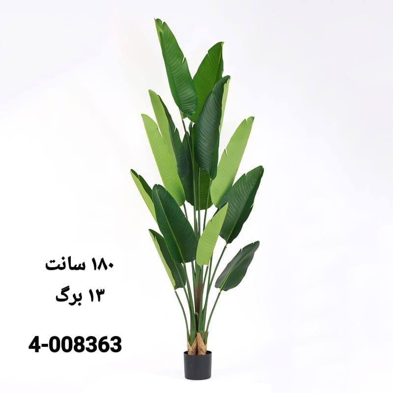 نخل نیکولای پرنده بهشتی مصنوعی 180سانتی 13برگ
