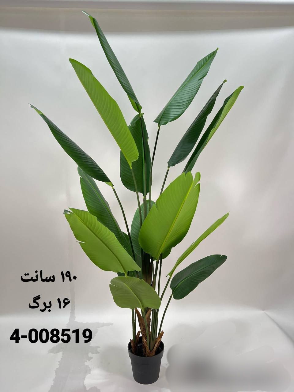 نخل نیکولای پرنده بهشتی مصنوعی 190سانتی 16برگ