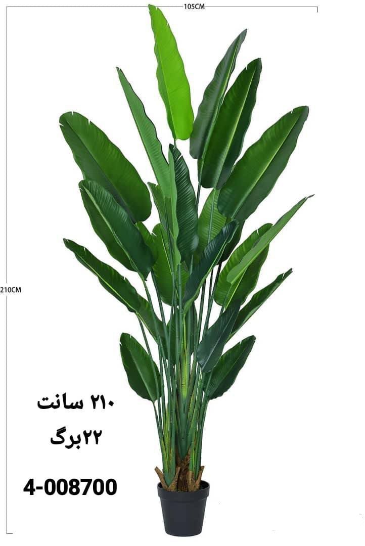 نخل نیکولای پرنده بهشتی مصنوعی 210سانتی متری 22برگ