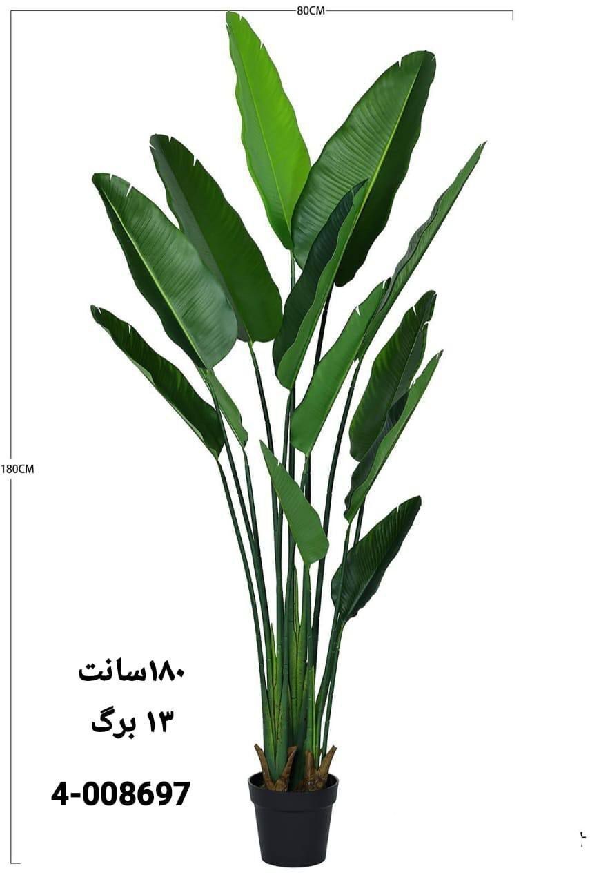 نخل نیکولای پرنده بهشتی مصنوعی 180سانتی 13برگ