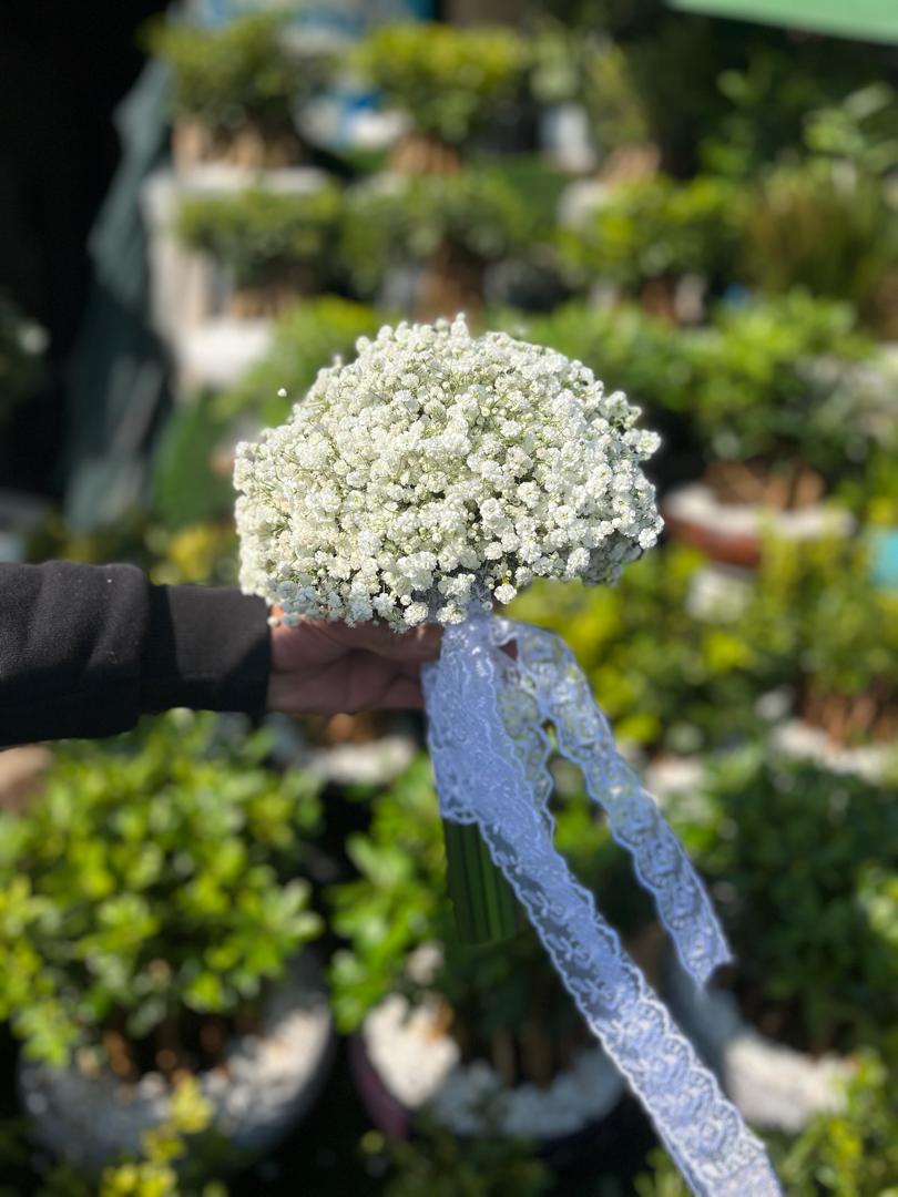 دسته گل عروس طبیعی مدل عروس (ژیپسوفیلا)