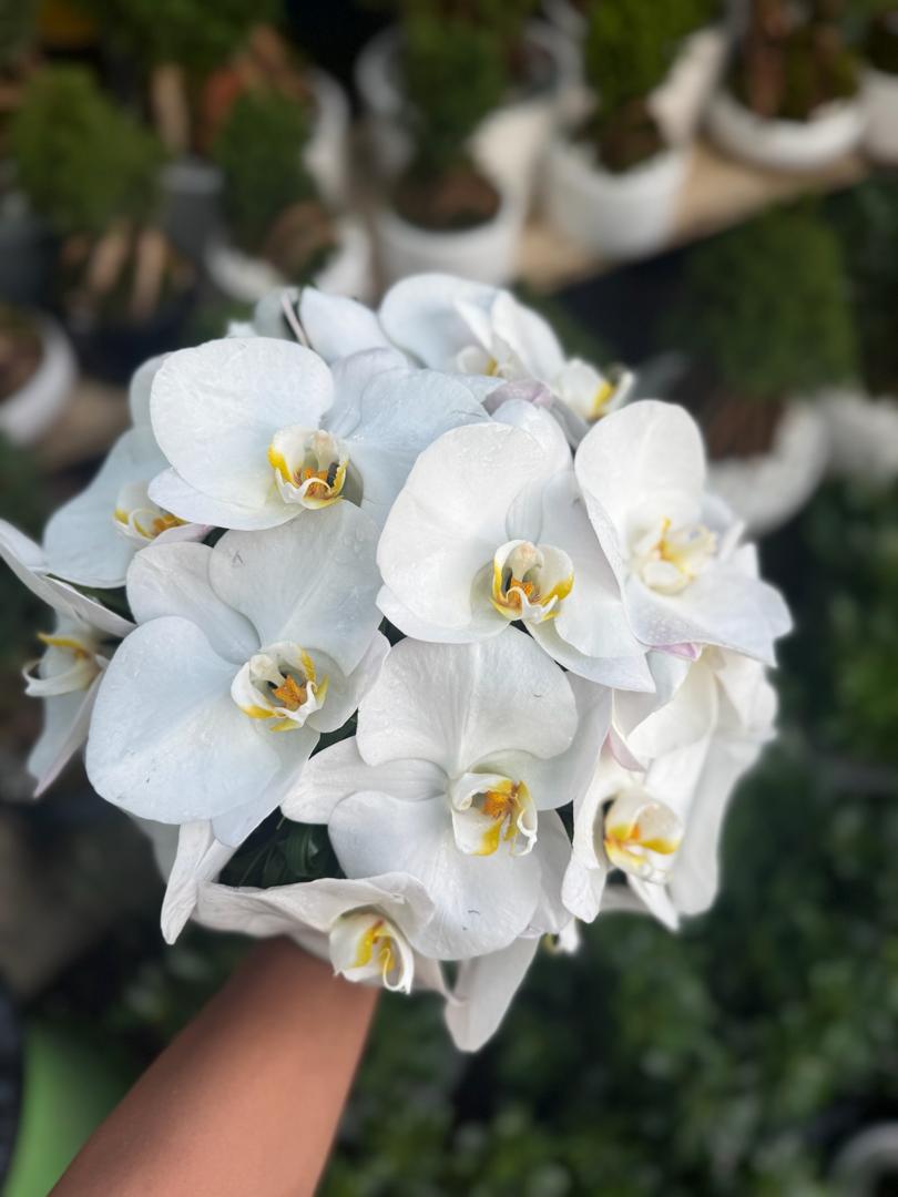 دسته گل عروس طبیعی مدل ارکیده