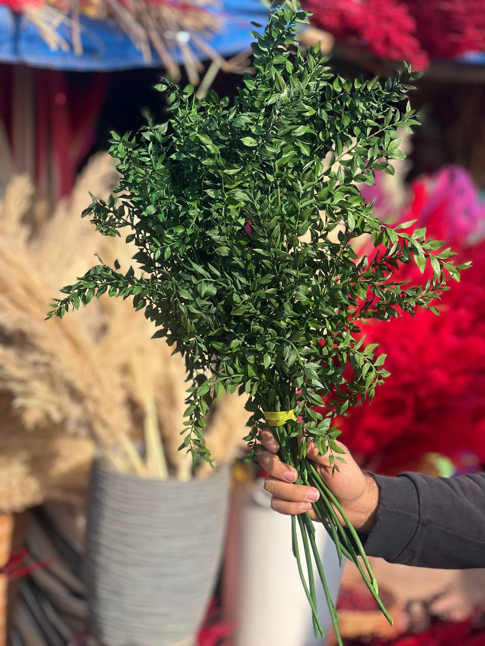گل خشک جزه رنگ سبز یک دسته