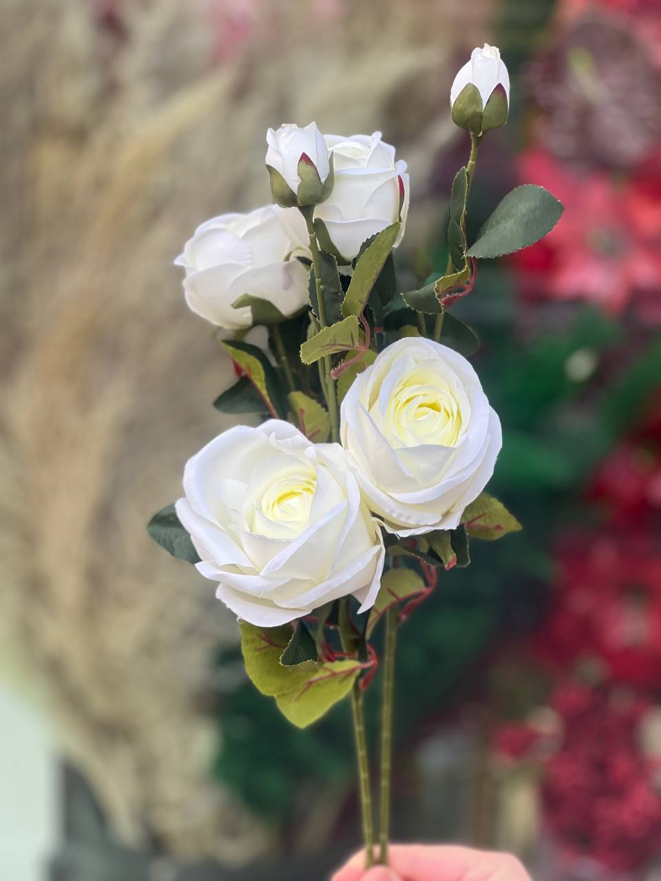 شاخه رز 2گل و یک غنچه وارداتی رنگ سفید ارتفاع60سانتی
