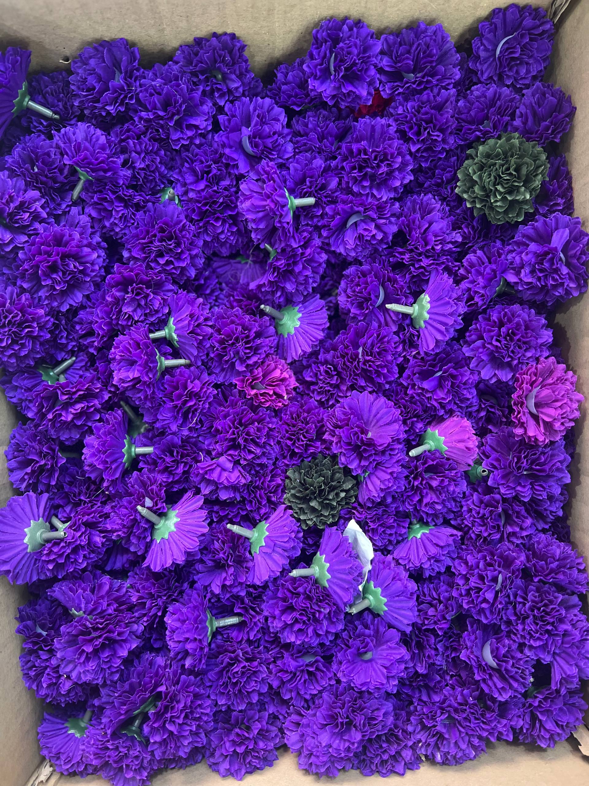 سرگل بدون ساقه داوودی بنفش (سایزکوچک) ۱۰عددی