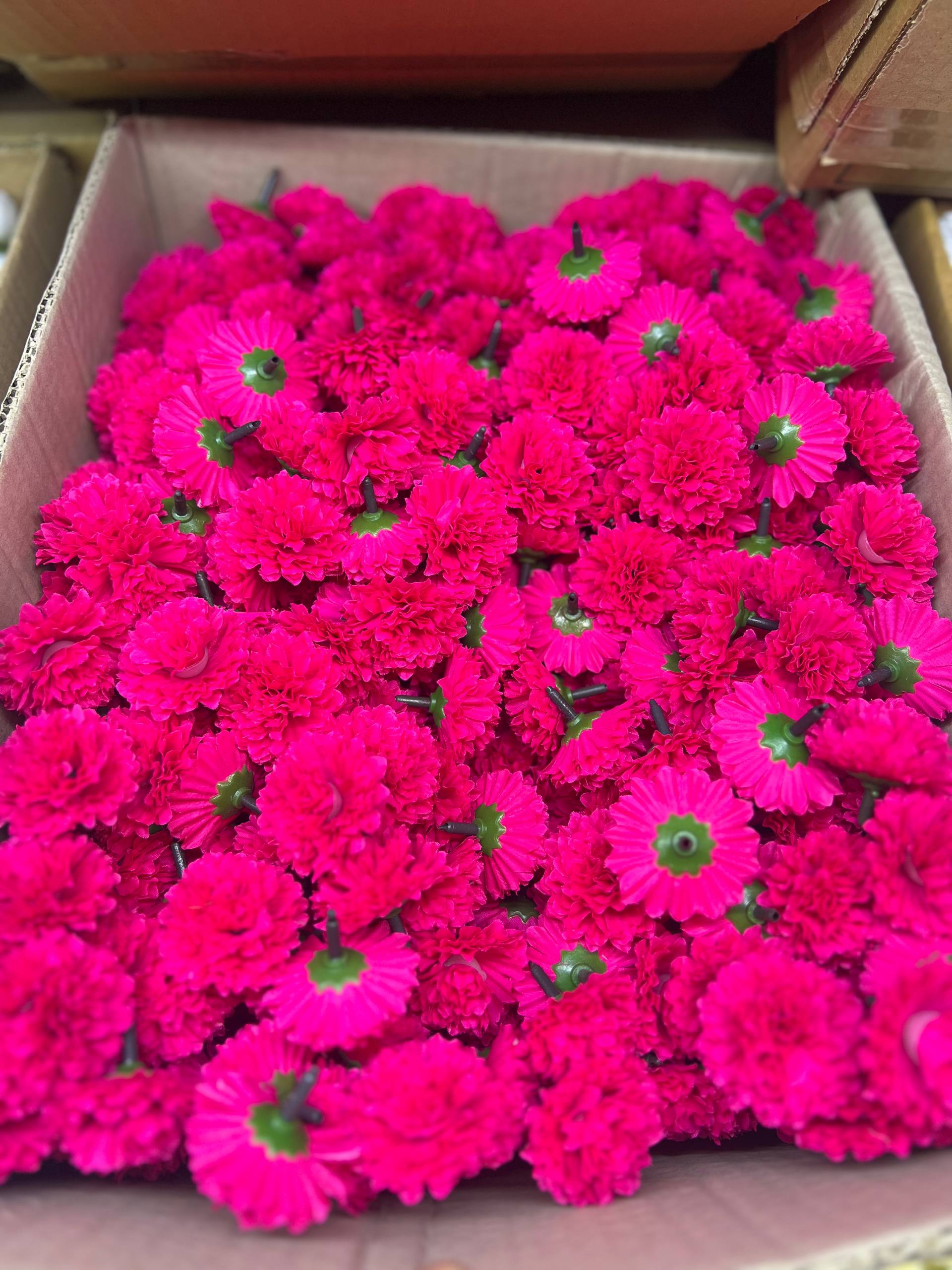 سرگل بدون ساقه داوودی سرخ ابی (سایزکوچک) ۱۰عددی