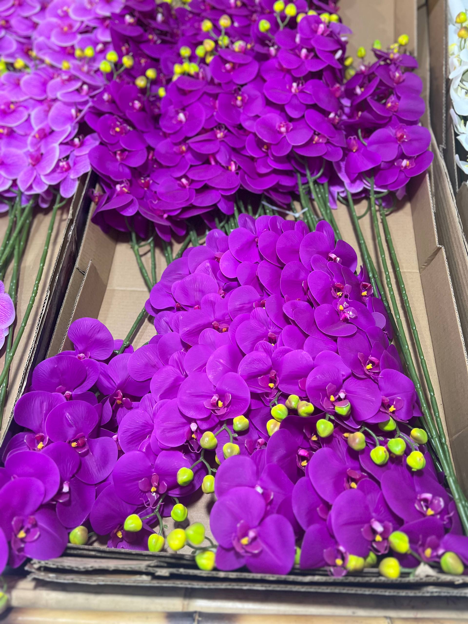 ارکیده لمسی بنفش تیره ۹گل