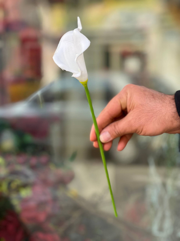 گل مصنوعی شیپوری لمسی وارداتی ۱عددی