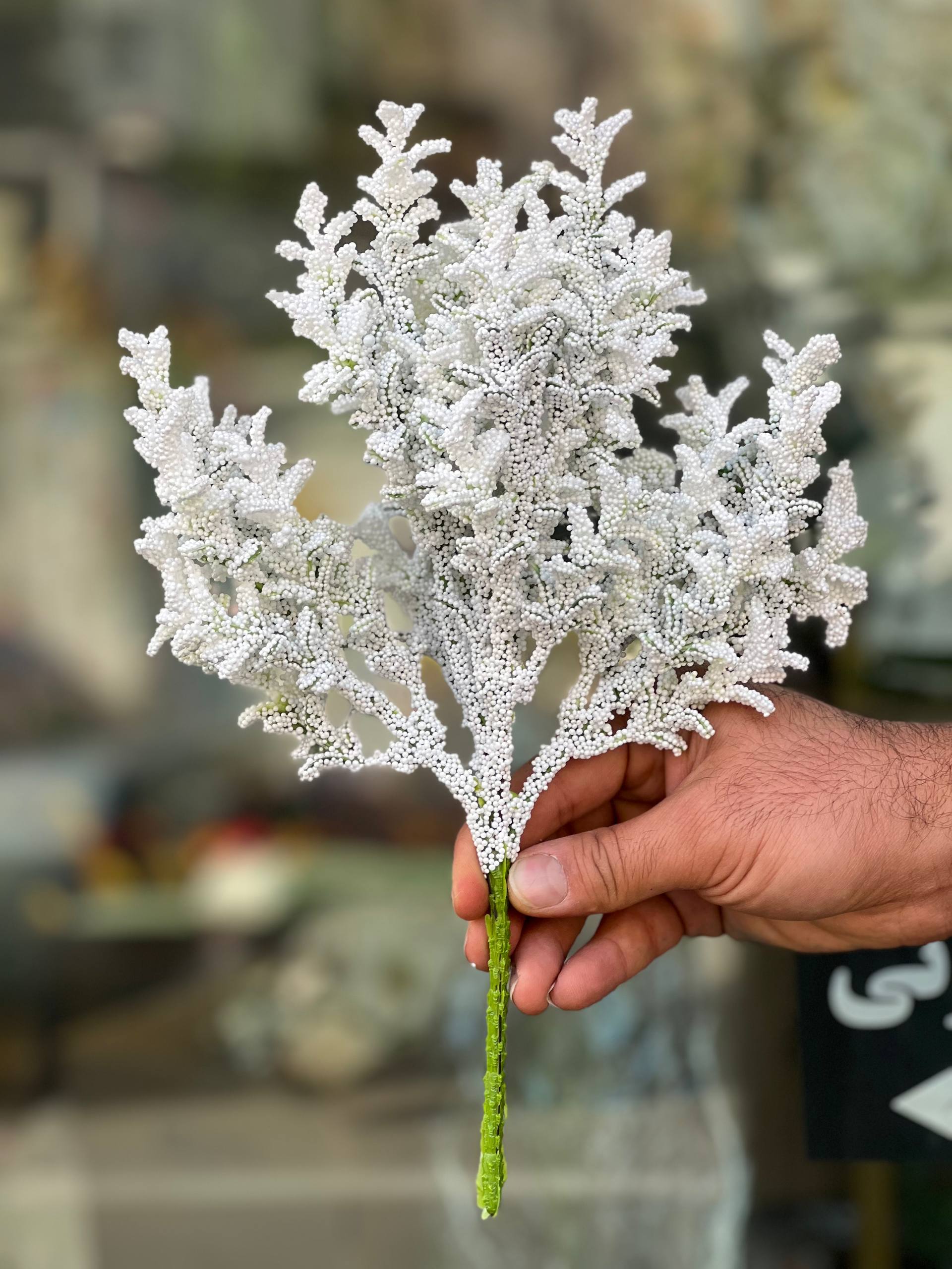بوته پفکی رنگ سفید