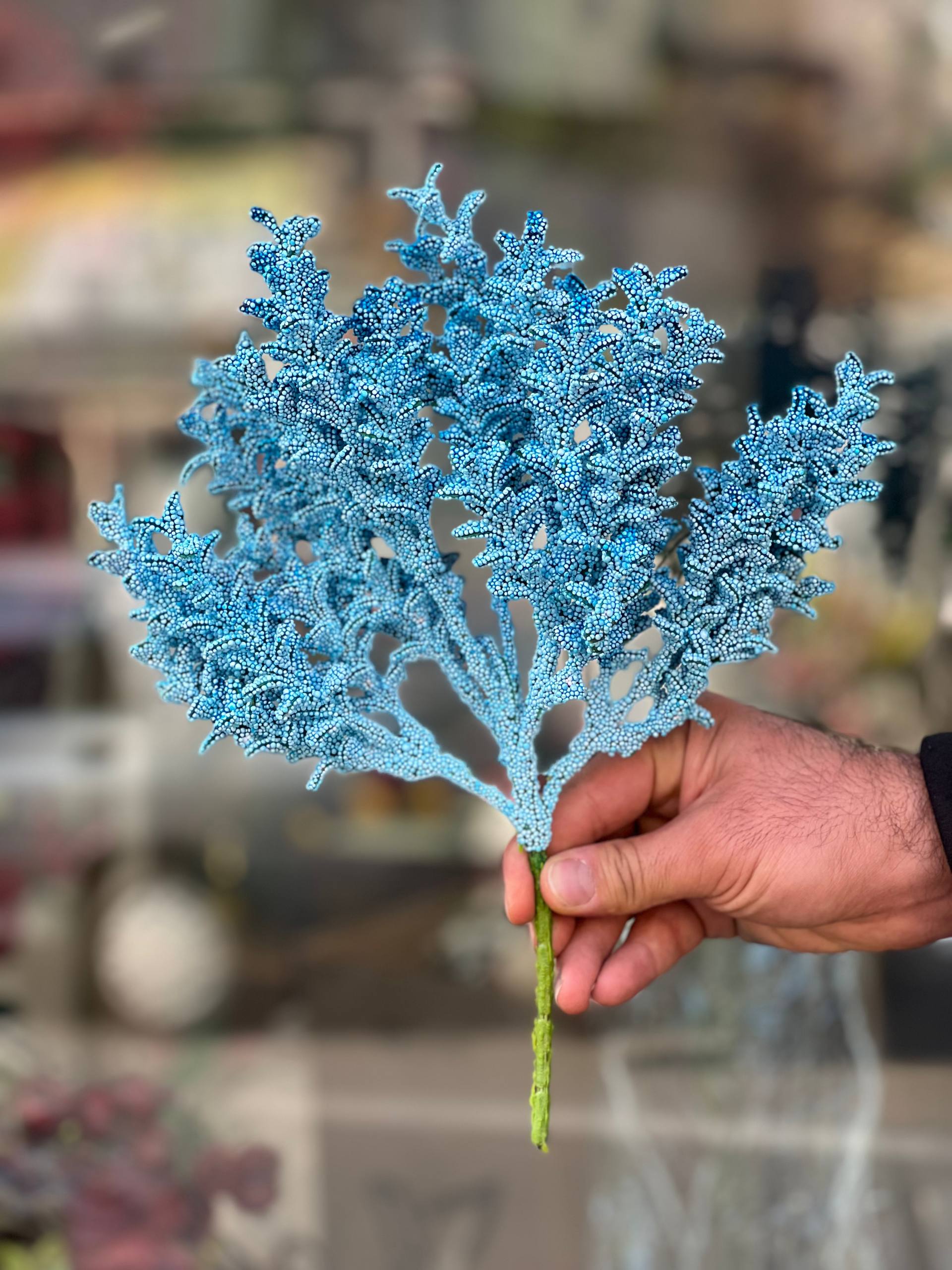 بوته پفکی رنگ آبی