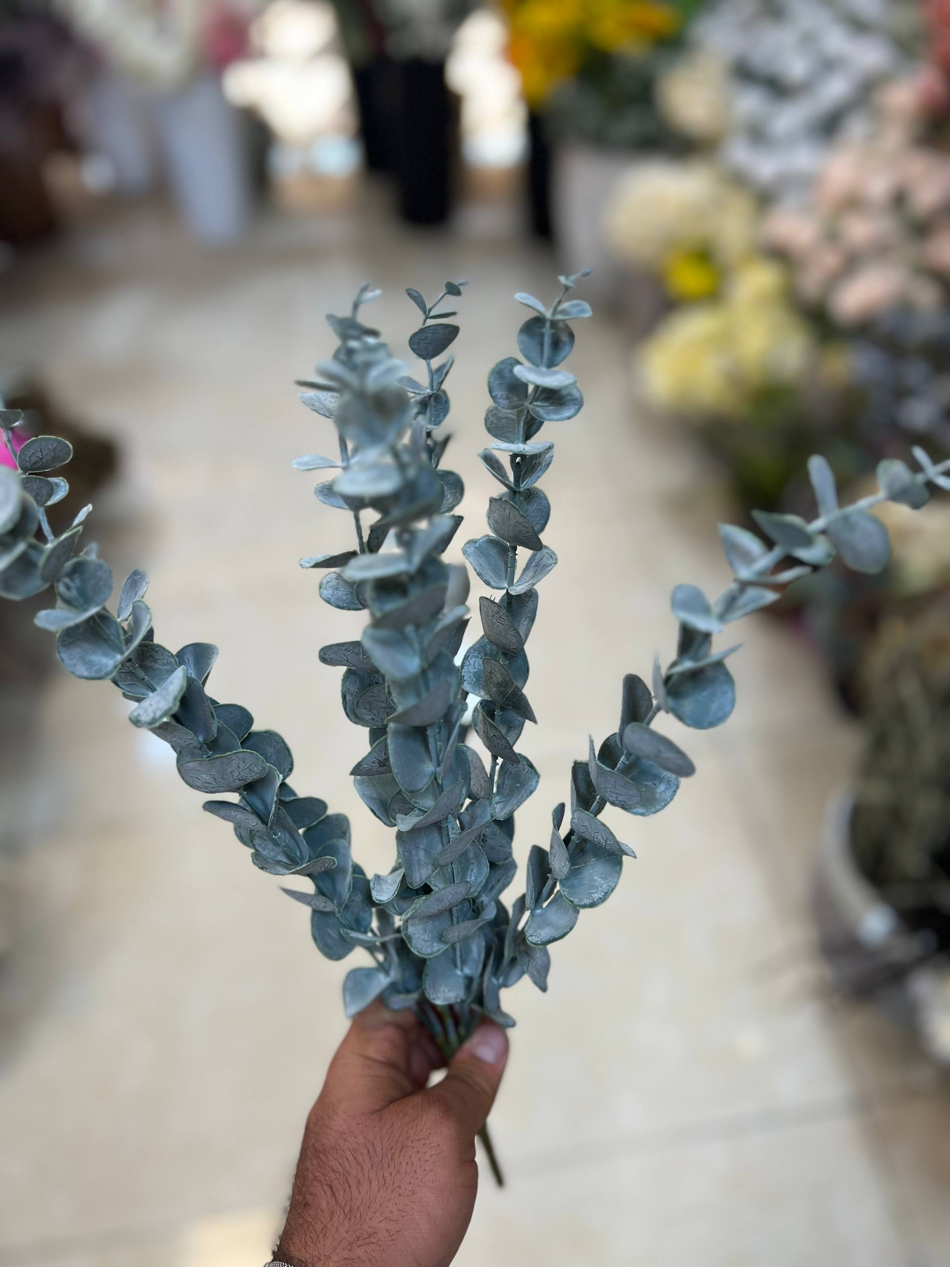 بوته اکالیپتوس چرمی وارداتی مدل برفی