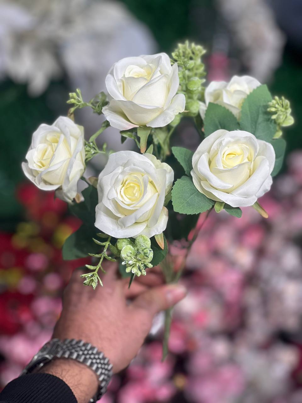 بوته رز 6گل رنگ سفید وارداتی