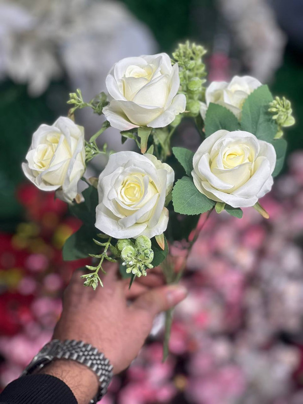 بوته رز 6گل رنگ سفید وارداتی