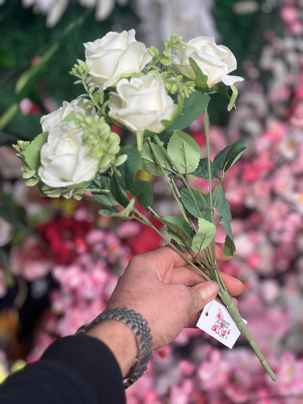 بوته رز 6گل رنگ سفید وارداتی