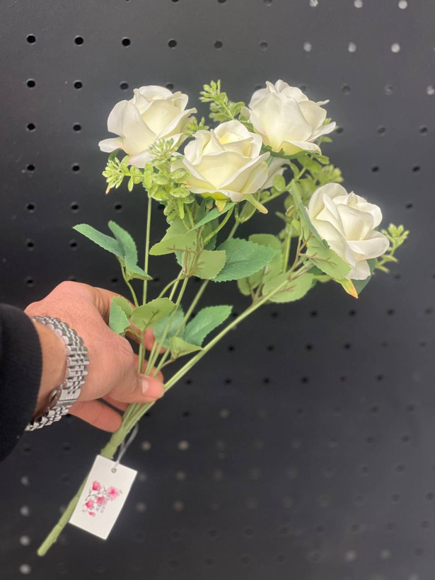 بوته رز 6گل رنگ سفید وارداتی