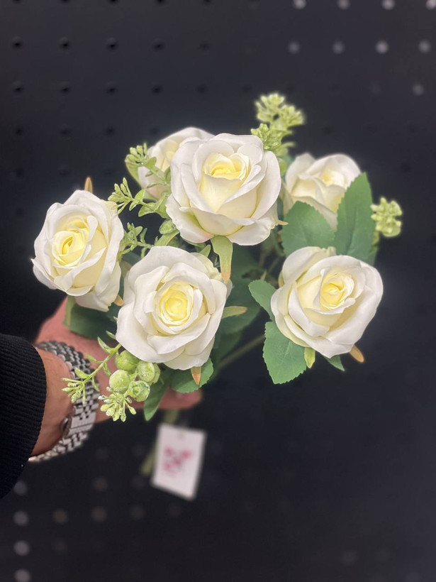 بوته رز 6گل رنگ سفید وارداتی
