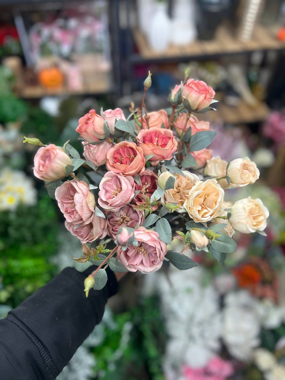 گل رز ژولیت ترکیبی از سه رنگ(نباتی. کالباسی. صورتی)