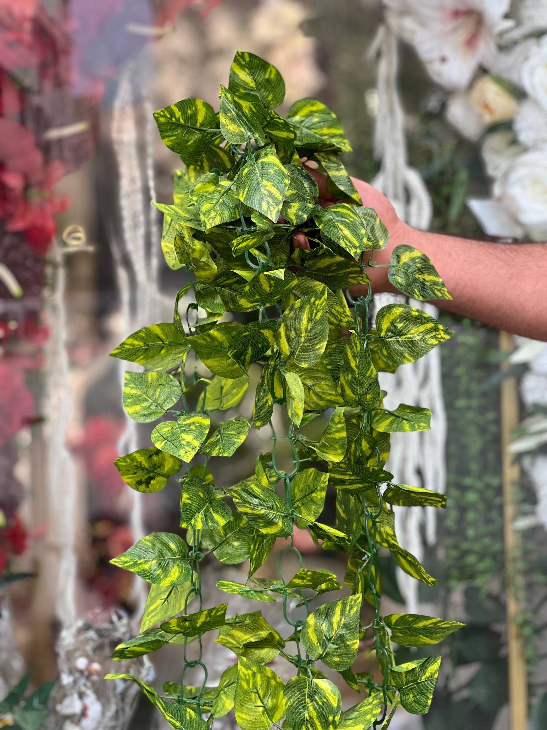 آویز برگ پتوس سبز ۲۲۰ سانتی(ریسه پتوس ابلق)