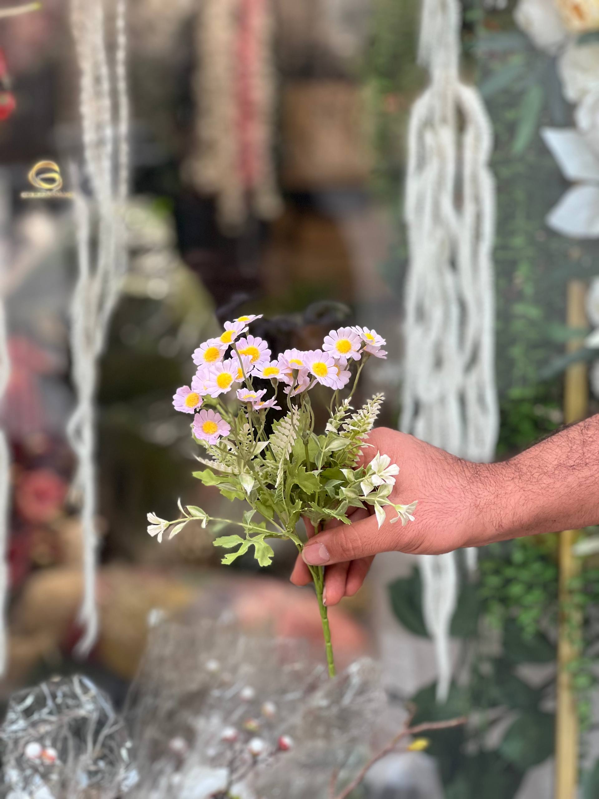 بوته بابونه سرگل کوچک رنگ (بنفش ملایم)