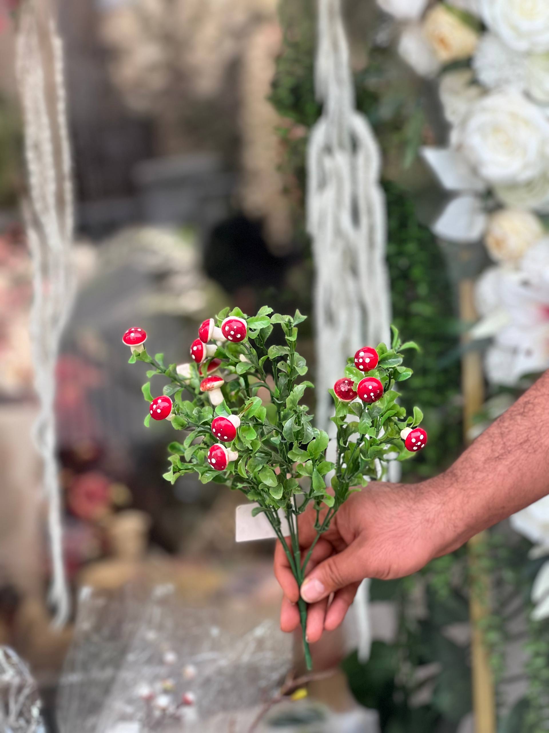 بوته قارچ مصنوعی کیفت درجه۱