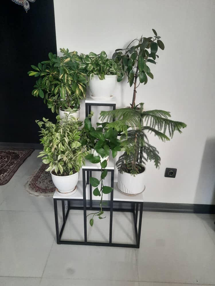 استند گل جاگلدانی مدل پله ای ششتایی