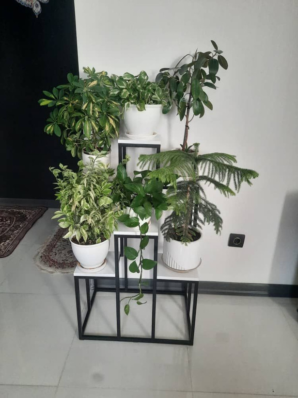 استند گل جاگلدانی مدل پله ای ششتایی