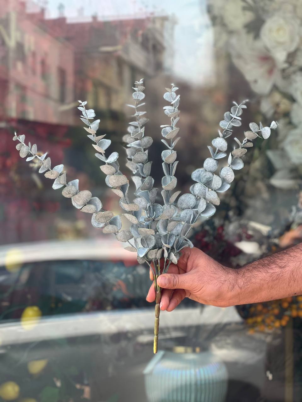 بوته اکالیپتوس چرمی گوشت دار مدل یخی ۵بازو